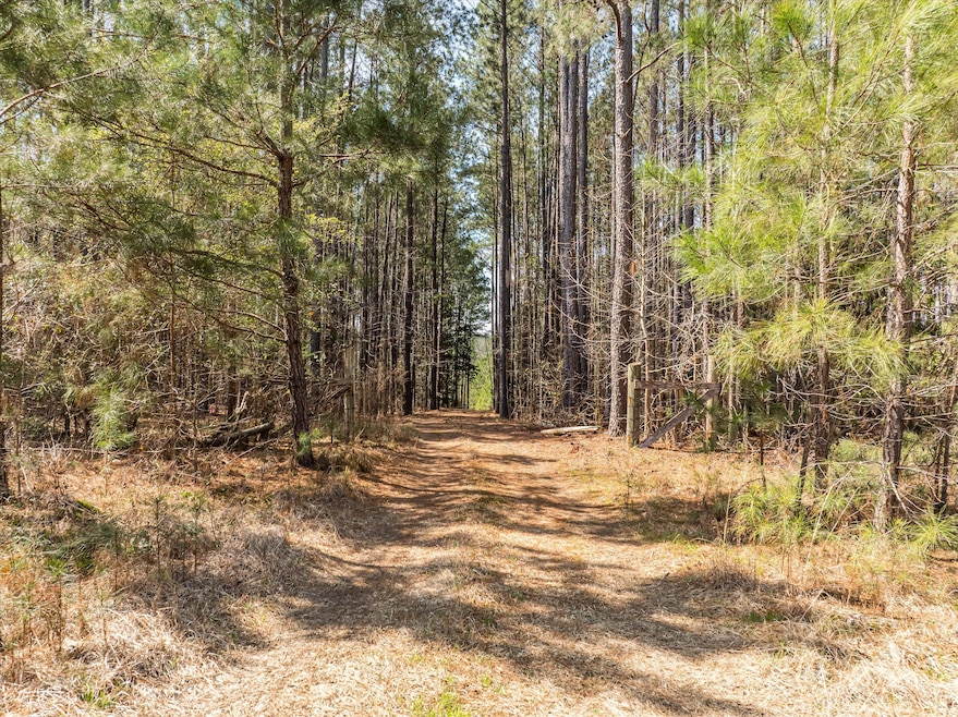 01-DJI_0410-HDR