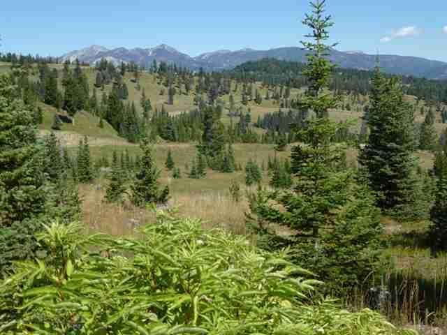 TBD Charlie Russell Loop Road (Big Ez Estate 44), Big Sky, MT 59716 - photo 1