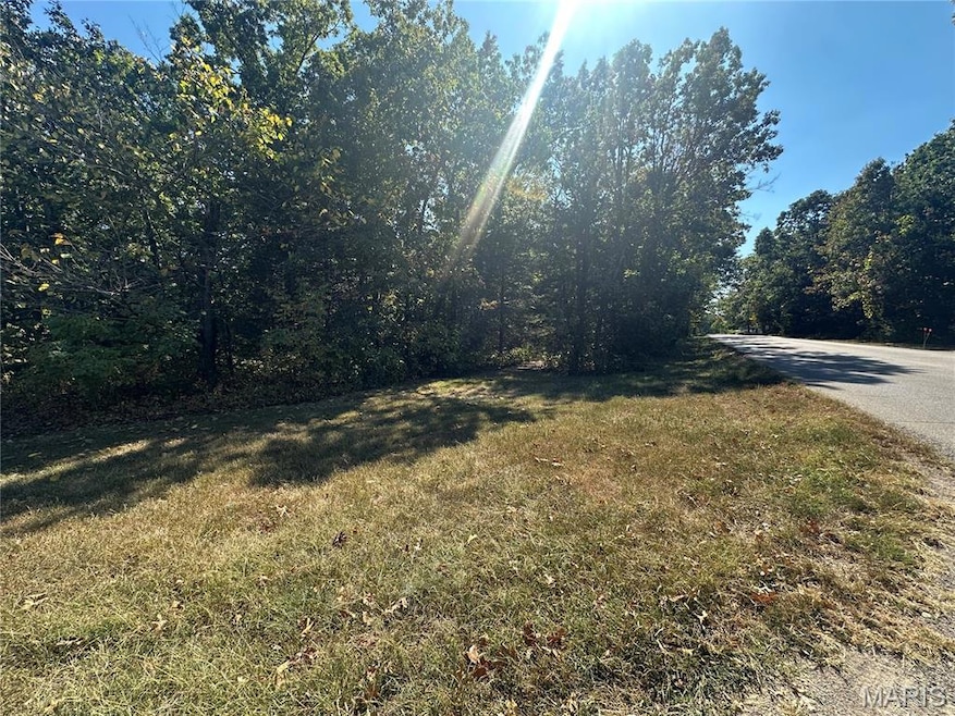 0 N St Francois Rd unit MIS25063814, Bonne Terre, MO 63628 - photo 1