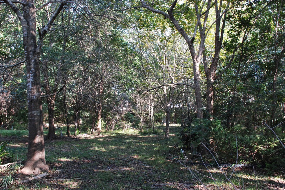 505 Leisure Ln, Friendswood, TX 77546 - photo 1