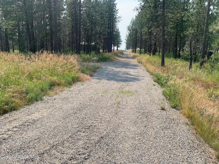 32606 N Sheep Springs Rd, Athol, ID 83801 - photo 1