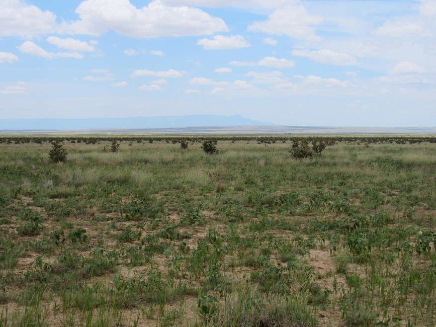 0 Santa Fe Trail Ranch unit Lot 7 24-535, Trinidad, CO 81082 - photo 1