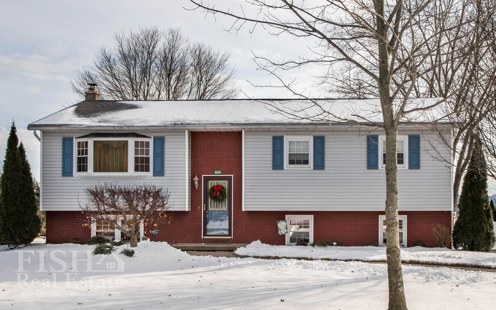 223 Henry Ave, Hughesville, PA 17737 - photo 1