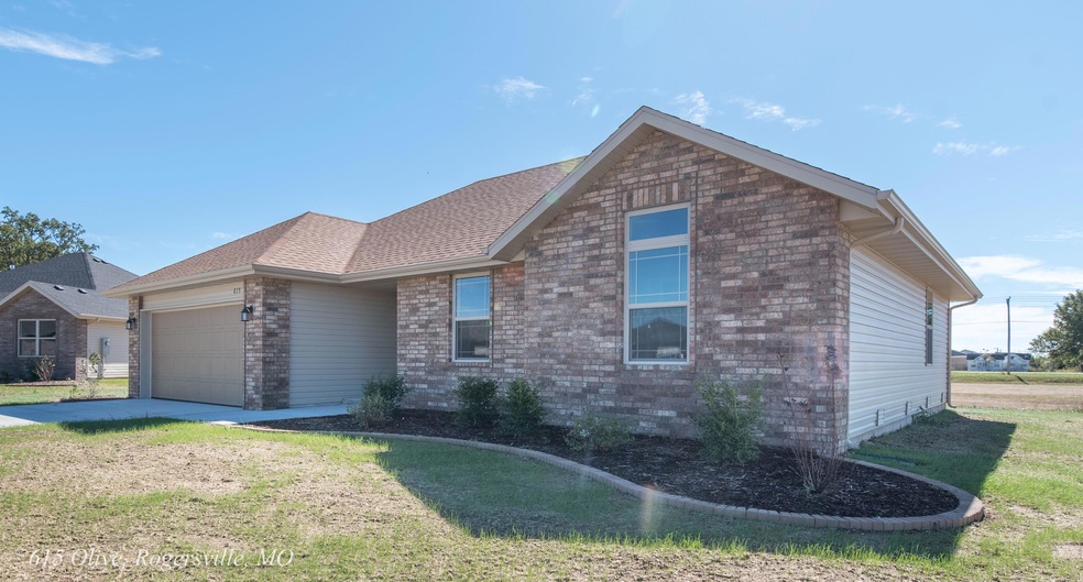 615 Olive, Rogersville, MO-2