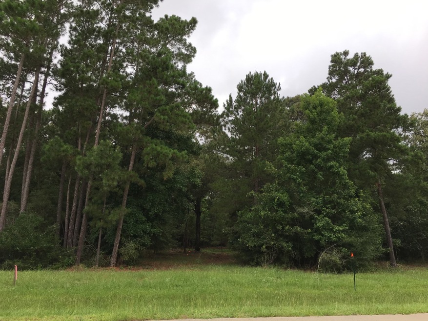 29323 Village Ridge Ct, Magnolia, TX 77355 - photo 1