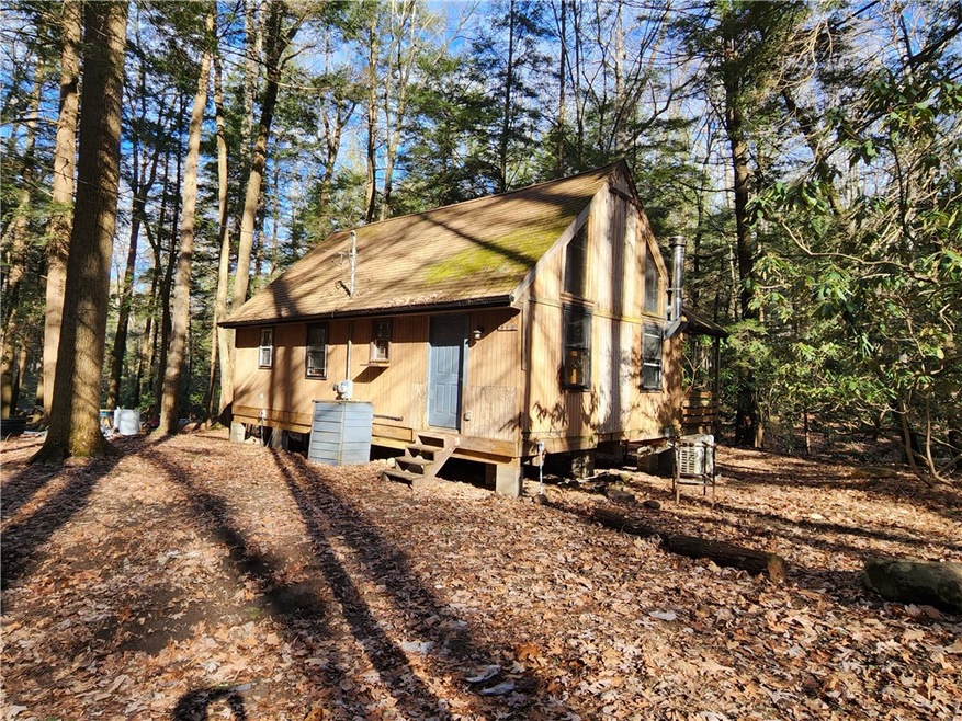 Front of cabin