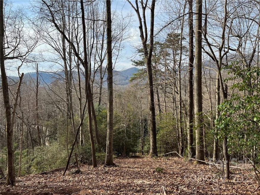 999 Sleepy Gap Rd unit 6, Arden, NC 28704 - photo 1