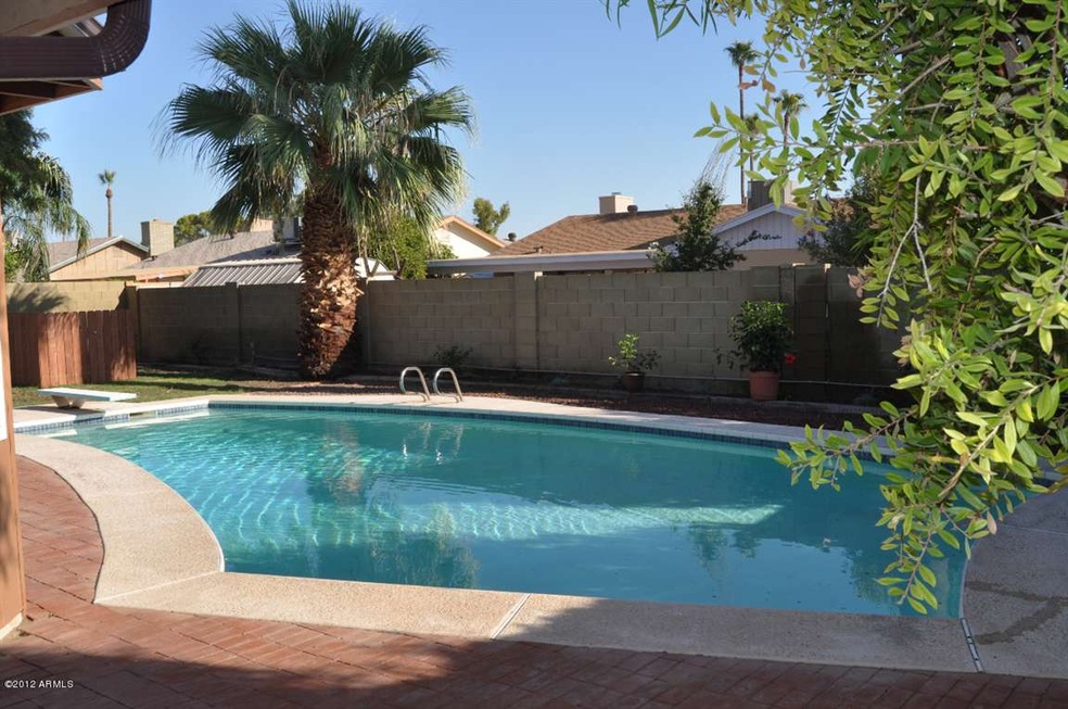 Dive In Backyard