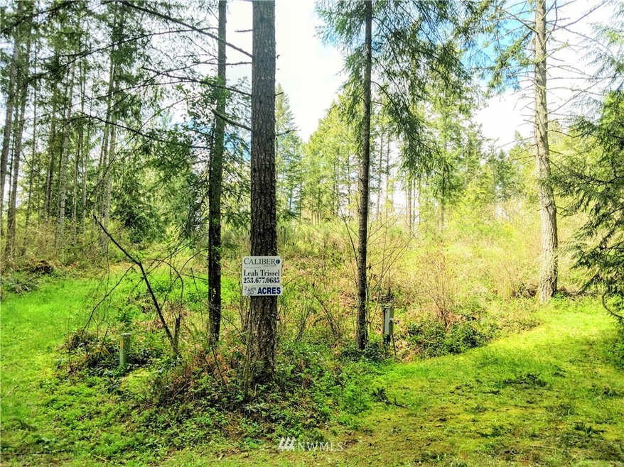 17301 17302 Hill Ct SE, Yelm, WA 98597 - photo 1