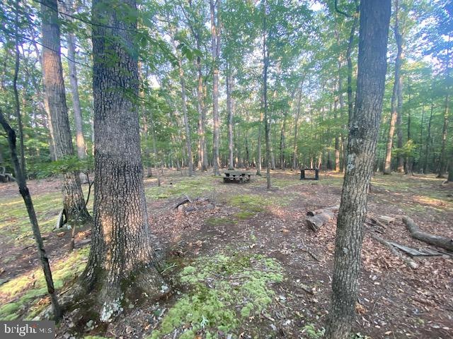 0 Pioneer Trail unit WVMO2000202, Great Cacapon, WV 25422 - photo 1