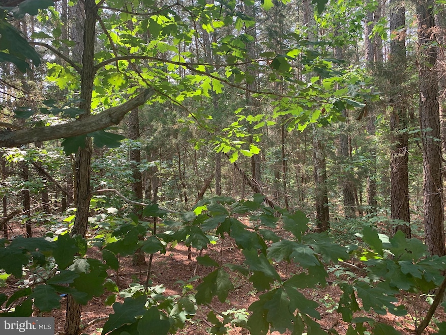 0 Long Branch Rd unit VACV123344, Woodford, VA 22580 - photo 1