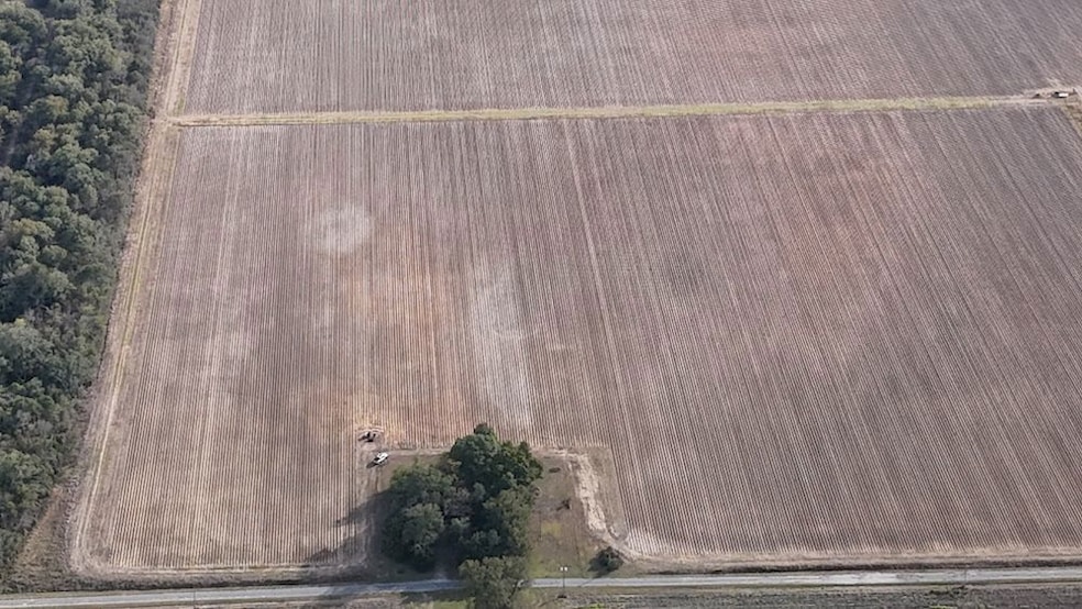 733 Highway 2, Oak Grove, LA 71263 - photo 1