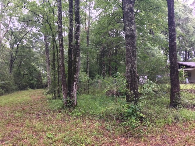 821 Horton Hollow Dr, Lufkin, TX 75904 - photo 1