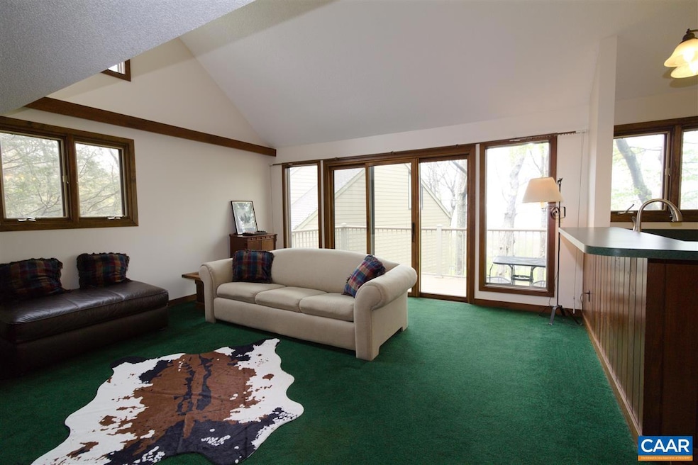 133 Eagles Ct Condos, Wintergreen Resort, VA 22967 - photo 1