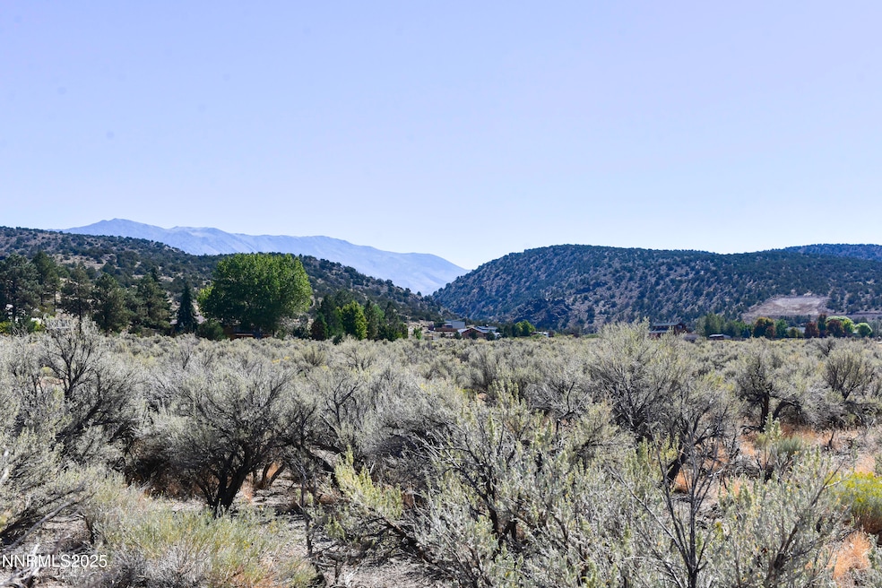 330 Veris Ct unit 1, Gardnerville, NV 89410 - photo 1