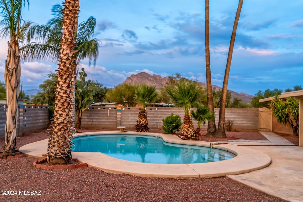45-Pool Area Mountain View