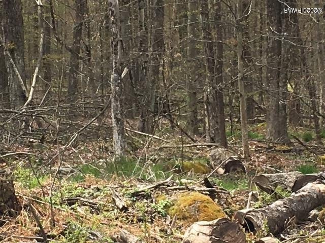 0 Moon Rd, Cobbs Lake Preserve, PA 18436 - photo 1