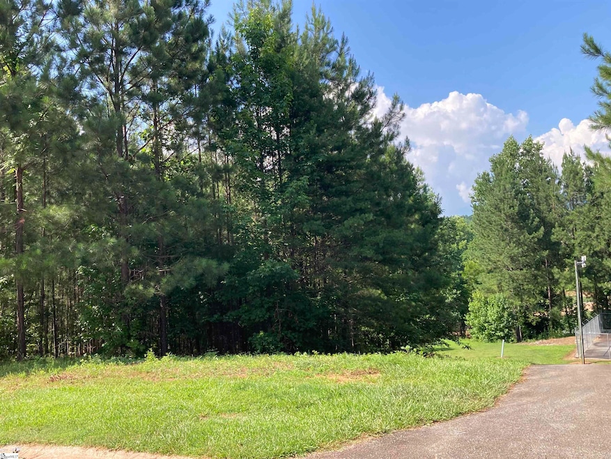 308 Wedge Way, Travelers Rest, SC 29690 - photo 1