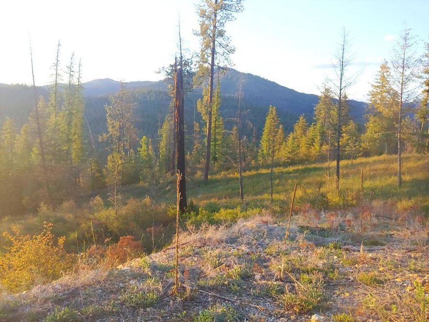Amazing view lot