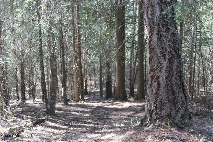 Surveyed 1.48 acres!