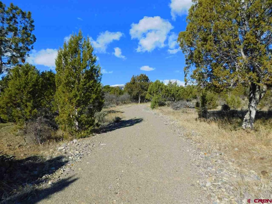 0 Uintah Rd unit 752141, Cedaredge, CO 81413 - photo 1
