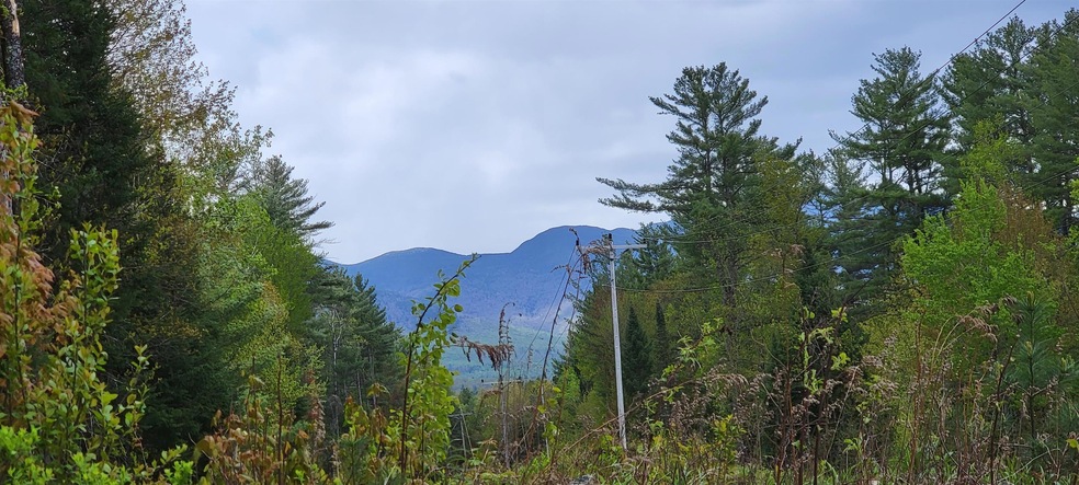 Lot 19 Scrag Mountain Rd, Sugar Hill, NH 03586 - photo 1