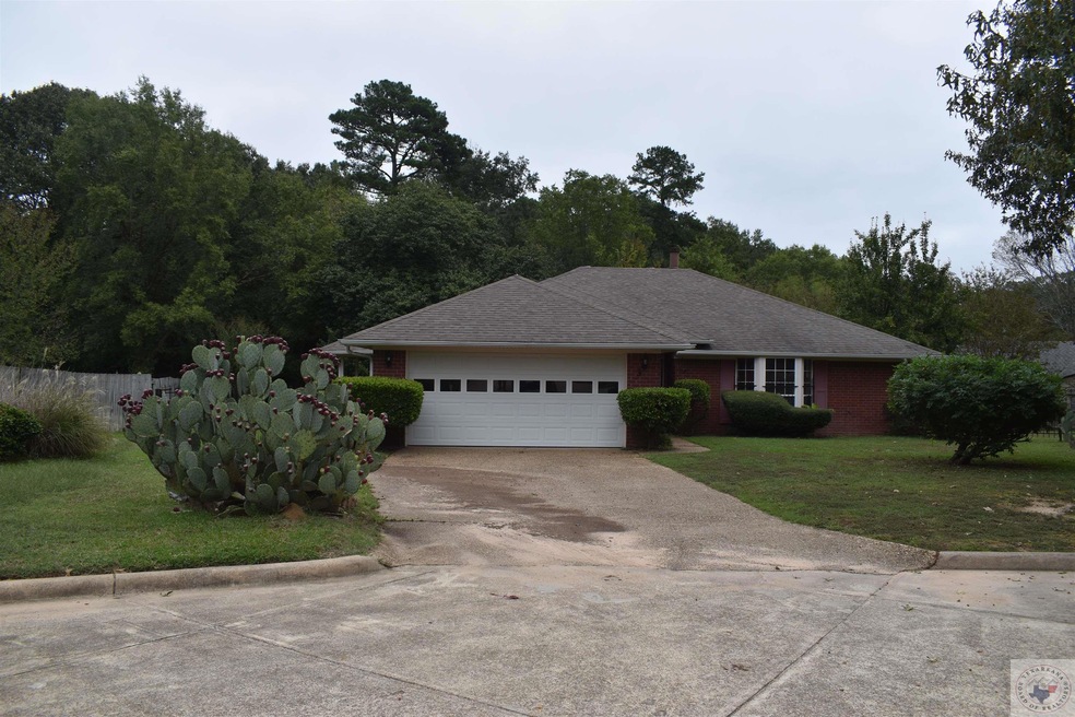 3 Jeffrey Cir, Wake Village, TX 75501 - photo 1