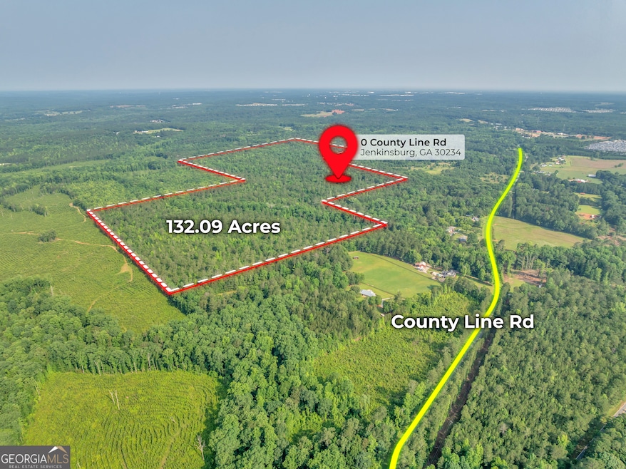 0 County Line Rd unit 10539097, Jenkinsburg, GA 30234 - photo 1