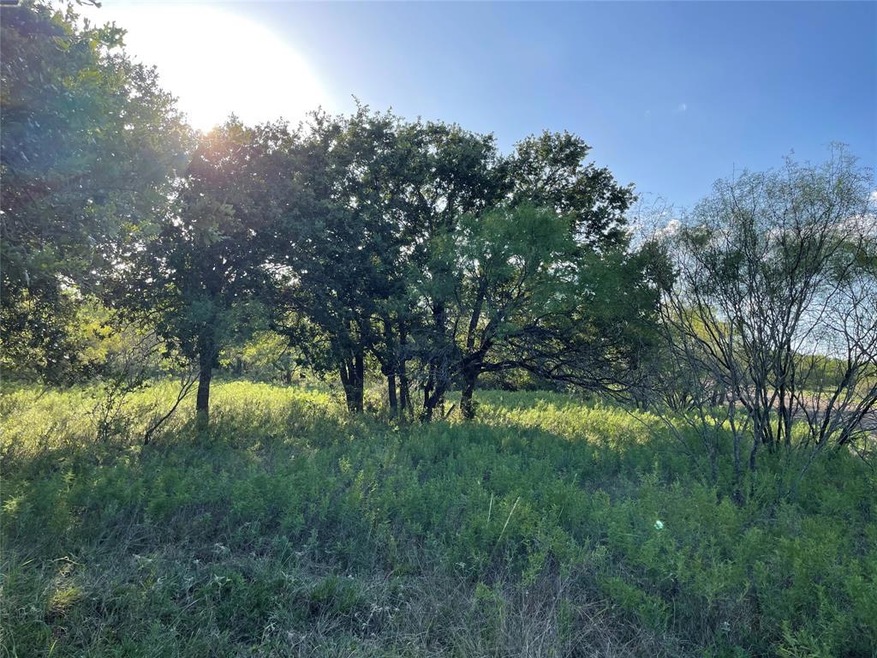 136 Tobiano Trace, Brock, TX 76087 - photo 1