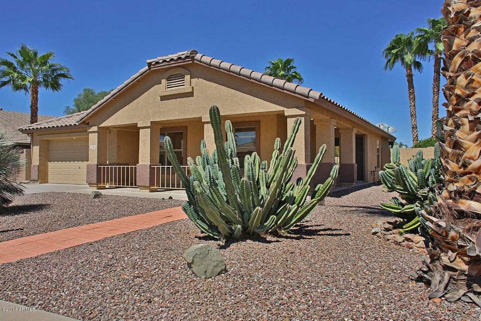 House Front-Outside/Cactus