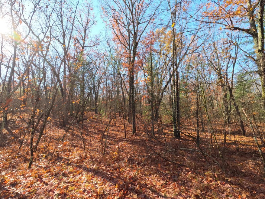 V/L Woodland Park Lots 5 To 9, Bitely, MI 49309 - photo 1