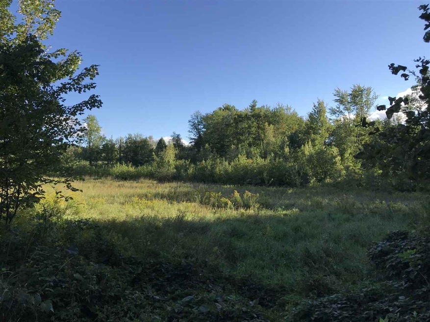 0 Allen Rd, Webster, NH 03303 - photo 1