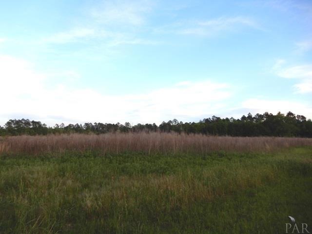 1400 Blk E Sunset Dr, Atmore, AL 36502 - photo 1