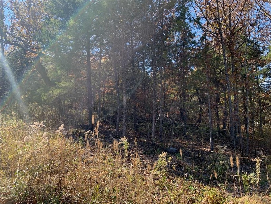 18 Sable Dr, Bella Vista, AR 72715 - photo 1