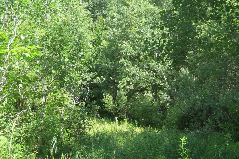 00 Forest Rd S, Ludlow, VT 05149 - photo 1