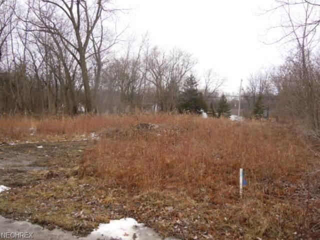 V/L Pleasantview Ave, Sheffield Lake, OH 44054 - photo 1