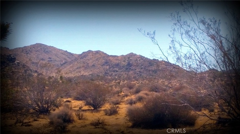 0 La Contenta Dr unit JT17000331, Joshua Tree, CA - photo 1