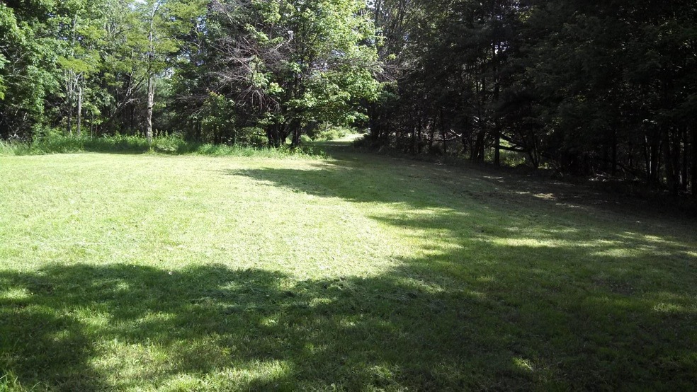Mtn top field