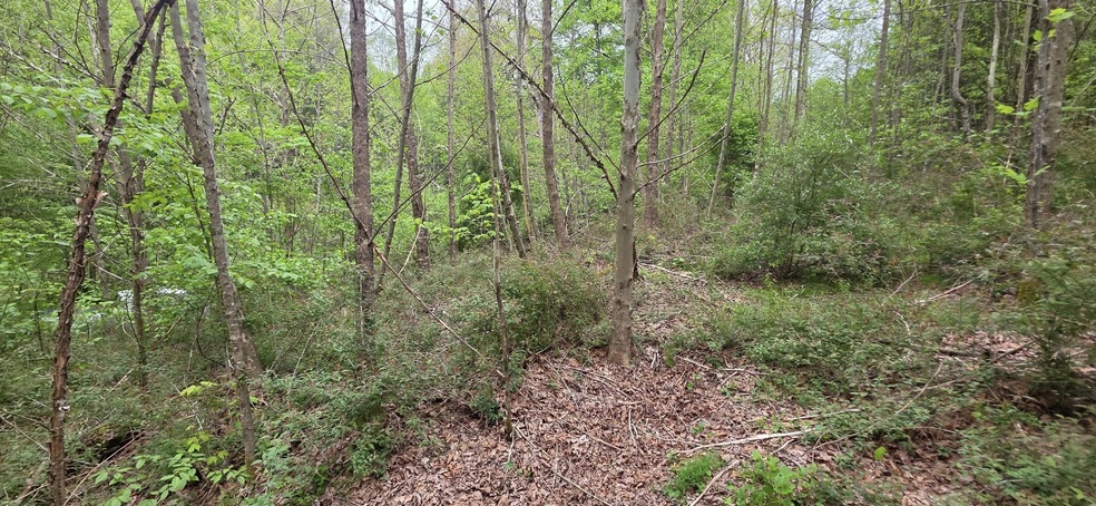 Pending $79,000 • Co-Listing Agent