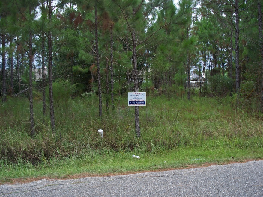 Primary Photo