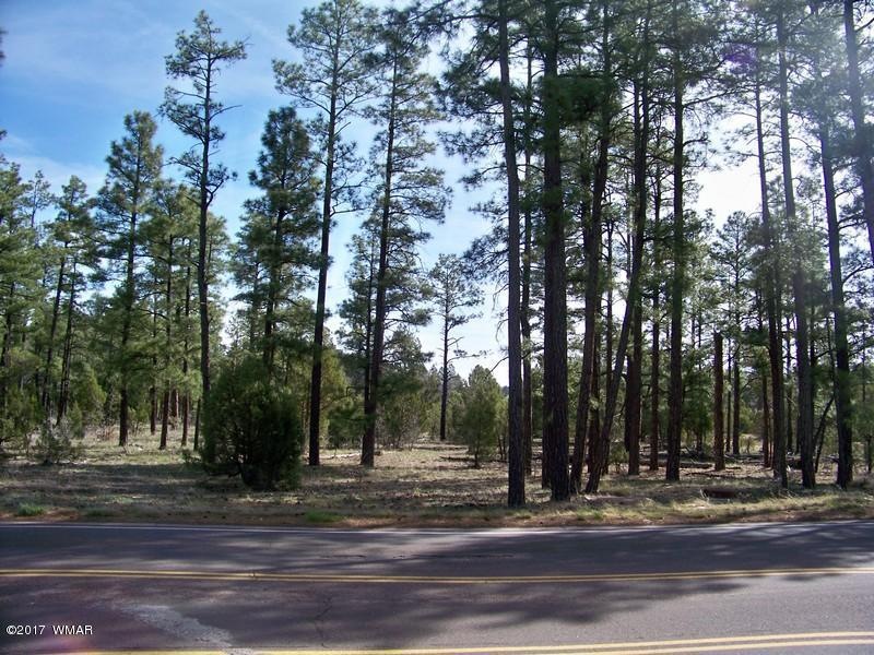 951 S Central Ave, Show Low, AZ 85901 - photo 1