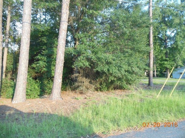 000 Vann St, Vidalia, GA 30474 - photo 1