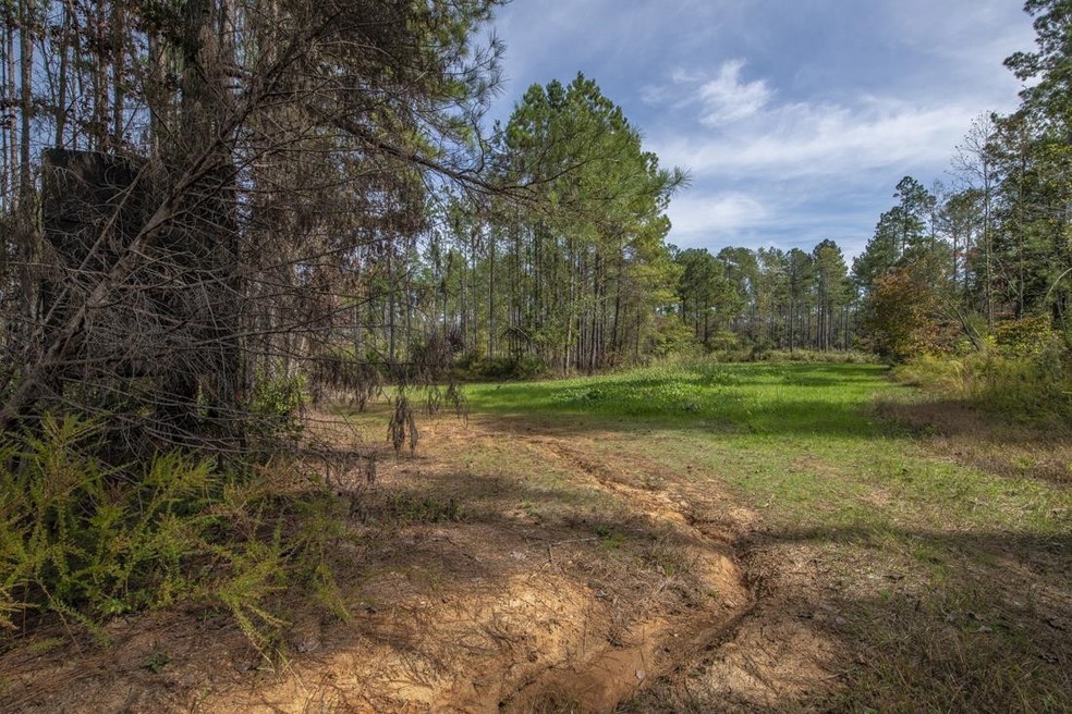 00 Oak Grove Church Rd, Asheboro, NC 27205 - photo 1