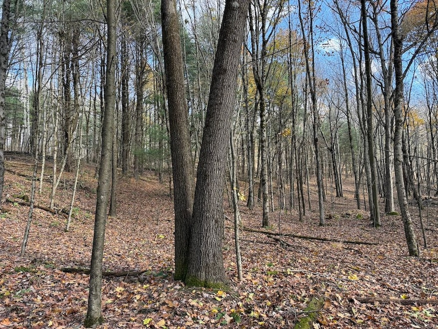 00 Carnes School Rd Lot unit WP001, Cranberry, PA 16319 - photo 1