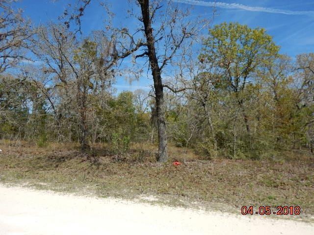 0 Royal Oak Dr unit 774762, Perry, FL 32348 - photo 1