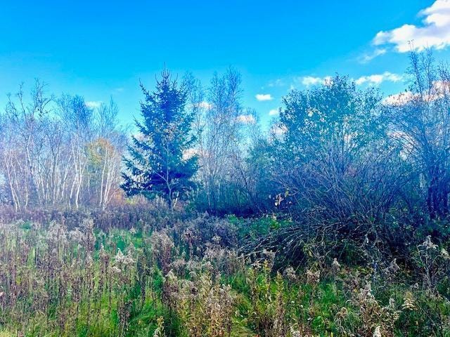 Lot 2 County Rd Q, Forest Township, WI 54005 - photo 1