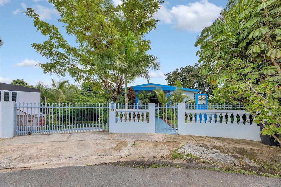 110 Freire Calle Rubi, Cidra, PR 00739 - photo 1