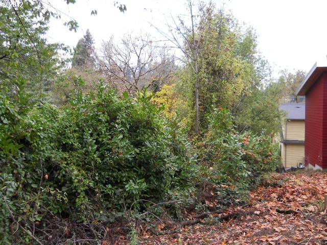 927 Ash St, Lake Oswego, OR 97034 - photo 1