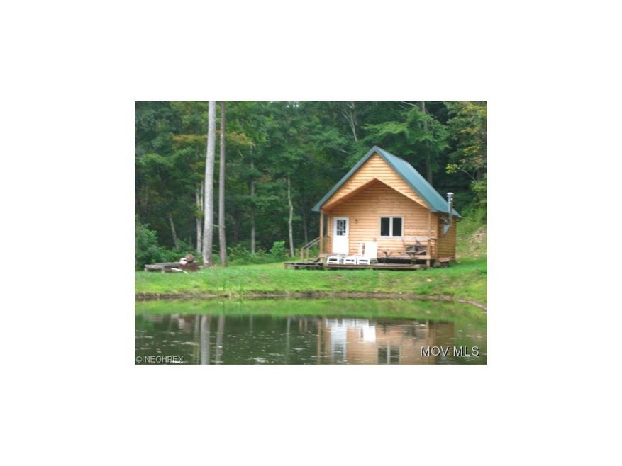 Cabin by the pond