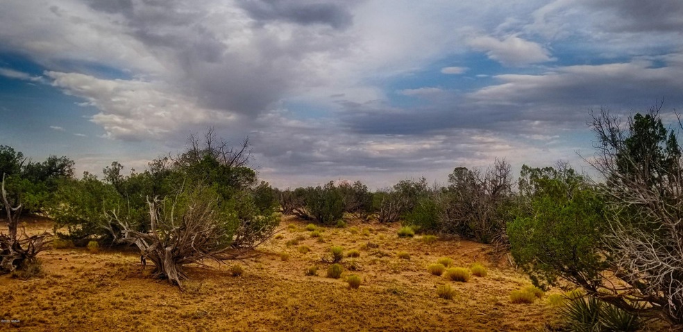 20200821_172944-HDR
